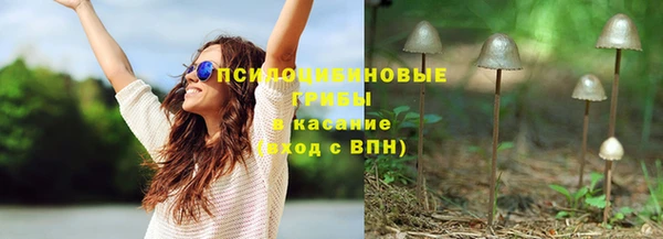 дживик Дмитровск