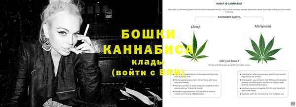 дживик Дмитровск