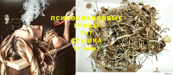 дживик Дмитровск