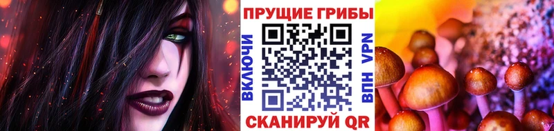 Галлюциногенные грибы прущие грибы  Купить где  Калтан 
